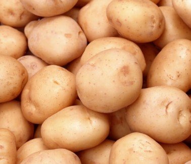 метод посадки картофеля