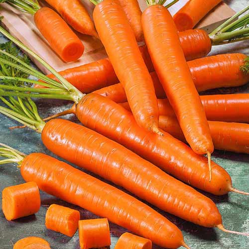 Морковь без сердцевины