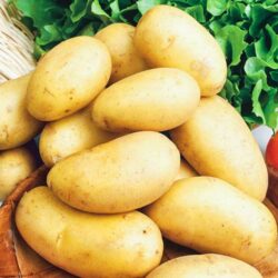 Выращиваем картофель