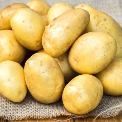 О выращивании картофеля