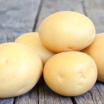 Дефицит питания для картофеля