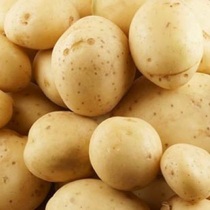 Из истории картофеля