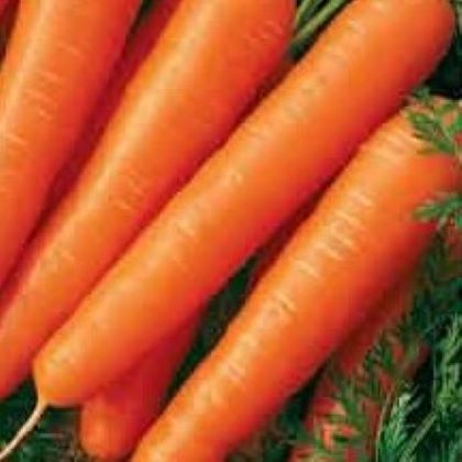 Оладьи из моркови