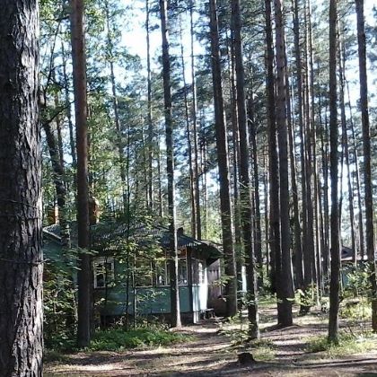 Дача Ахматовой в Комарово